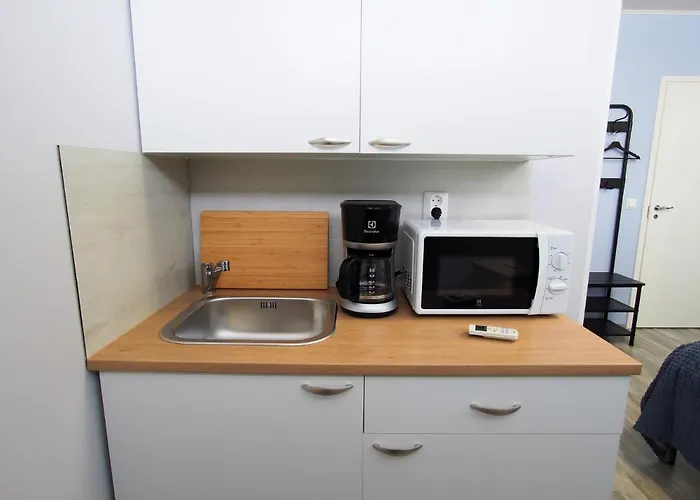 Savonlinna Rentals