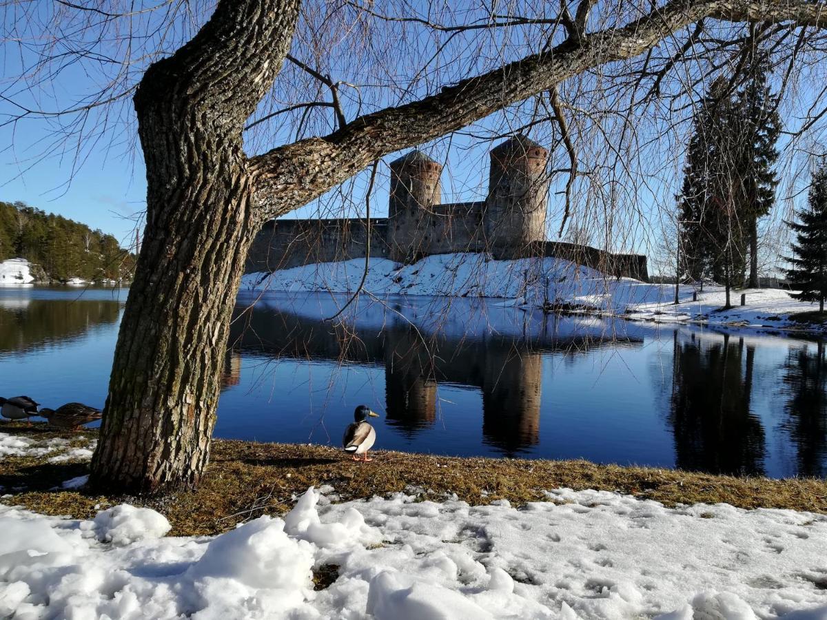 Savonlinna Rentals *